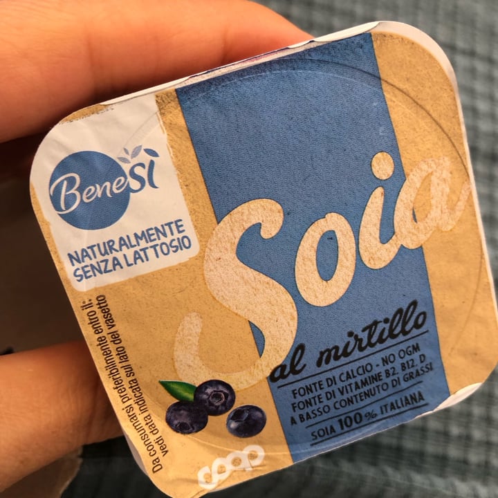 photo of coop bene-sì Yogurt di soia al mirtillo shared by @seitansistah on  09 Oct 2023 - review