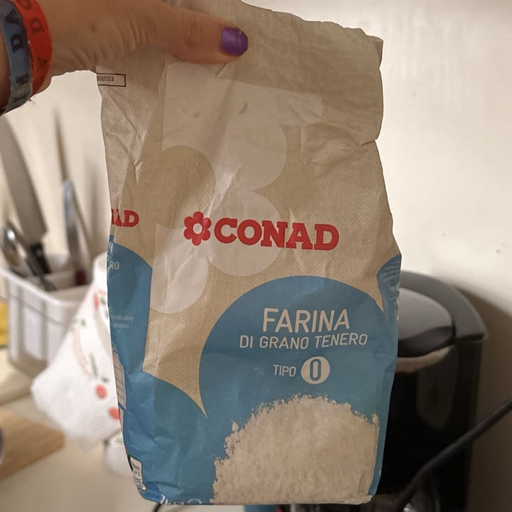 photo of Conad Farina Di Grano Tenero Tipo 0 shared by @nicolerenou on  04 Jul 2024 - review