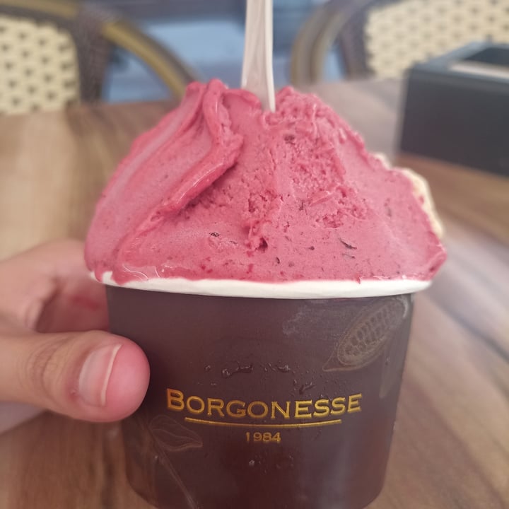 photo of Heladería Borgonesse Helado Vegano De Frutos Del Bosque Y Turrón shared by @fabuchi on  02 Jul 2025 - review