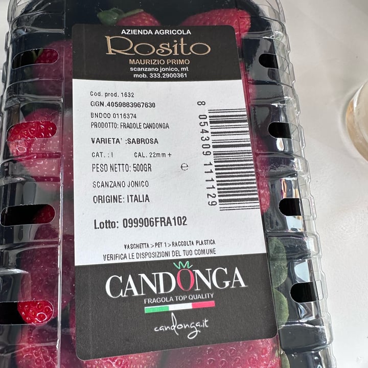 photo of Rosito , azienda agricola. fragole qualita candonga shared by @babette on  14 Apr 2024 - review