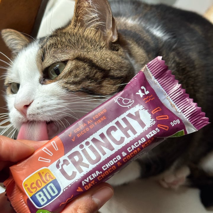 photo of Isolabio crunchy avena, choco & caco nibs shared by @mykemical on  09 Oct 2025 - review