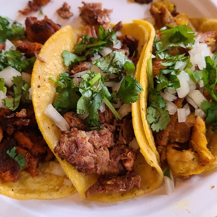 photo of Rojo's Mexican Food Carnitas Taco shared by @sofihuasteca on  31 Mar 2024 - review