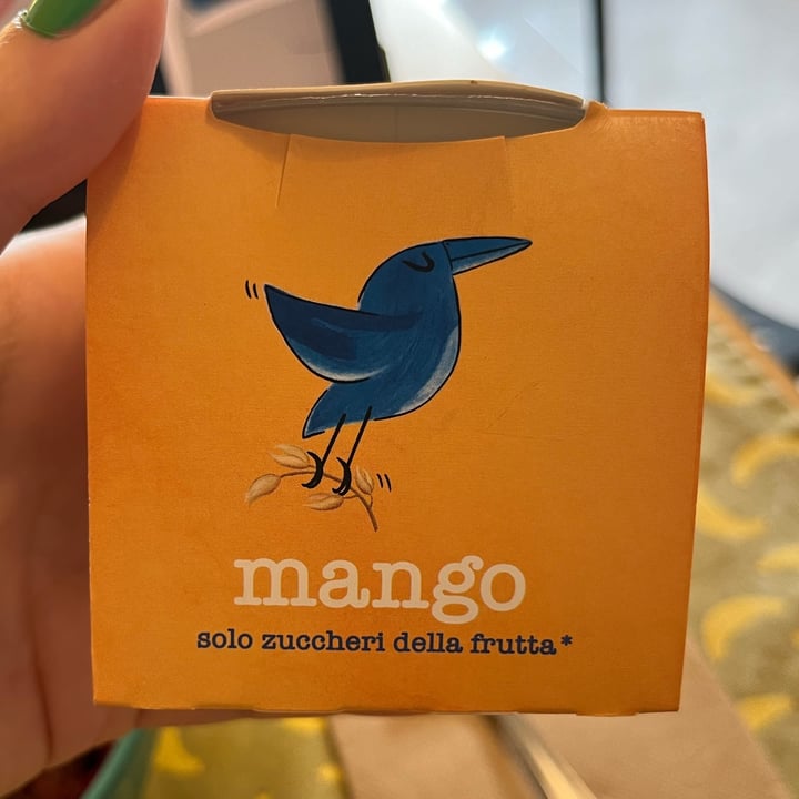 photo of Heaven mango shared by @tipsyballoons on  30 Jun 2024 - review