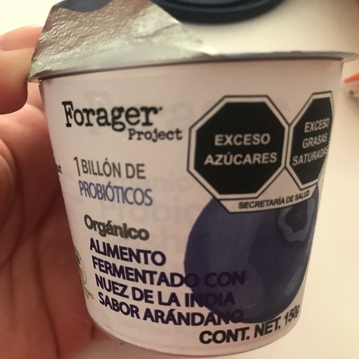 photo of Forager Project Blueberry Cashewmilk Yogurt shared by @gabspp on  12 Feb 2024 - review