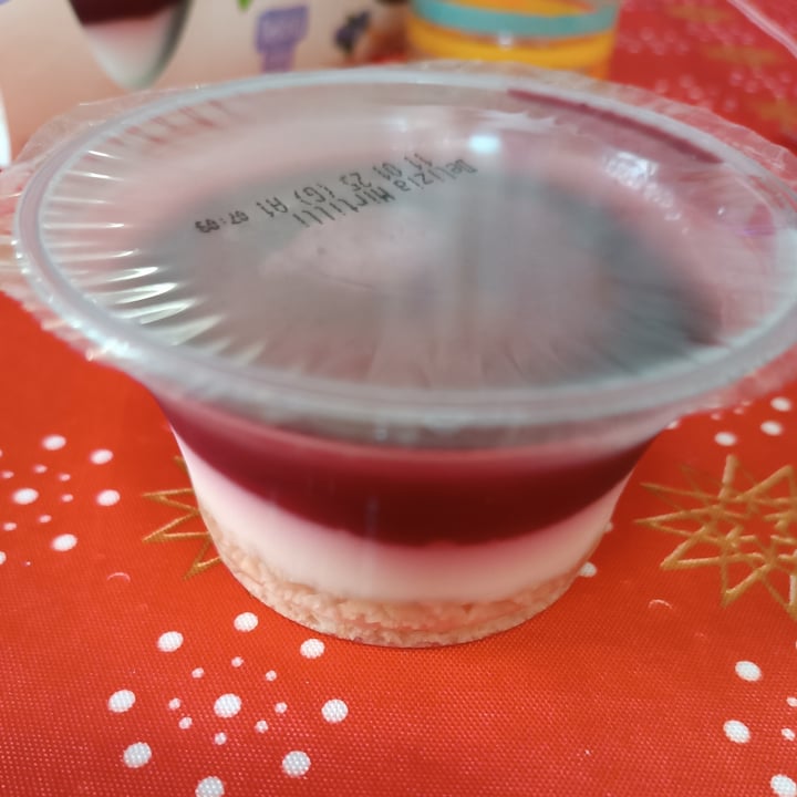photo of Vemondo Delizia vegana al mirtillo shared by @veganfran on  23 Dec 2024 - review