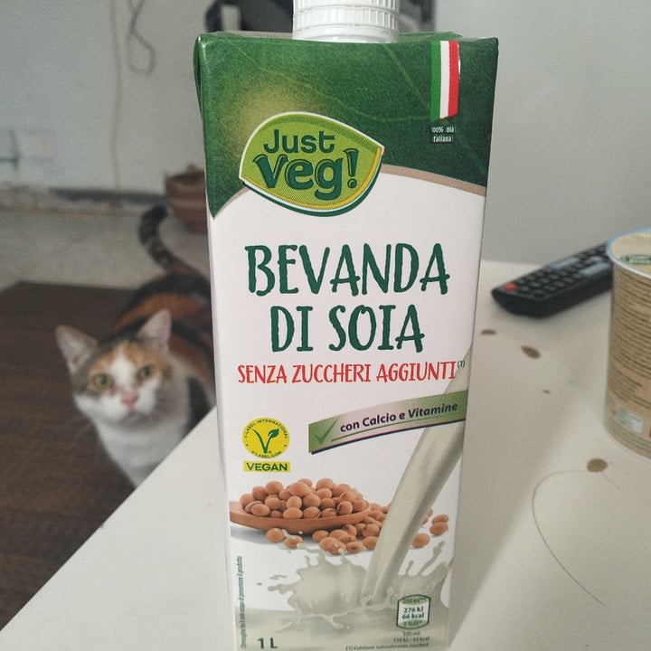 photo of Just Veg! (ALDI Italy) Bevanda di soia shared by @shatzishell on  29 Sep 2025 - review