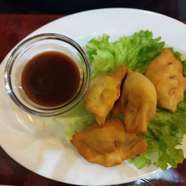 photo of Bodhi Vegan wonton frit shared by @sorinaparis on  02 Feb 2024 - review