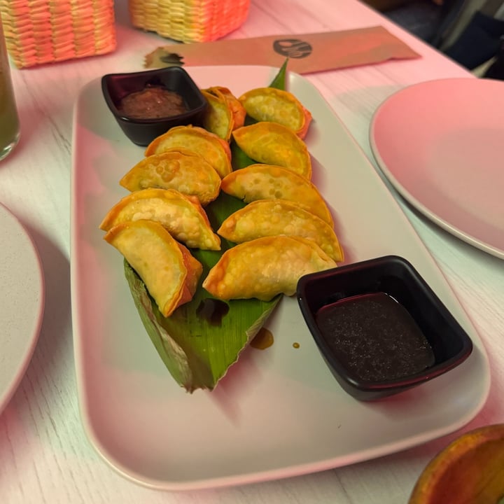 photo of Pura Vida veggie and vegan gyosas shared by @losojosdepaula on  16 Dec 2024 - review