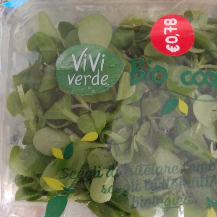 photo of Vivi verde bio Coop Valeriana Bio shared by @robertaboschi on  06 May 2024 - review