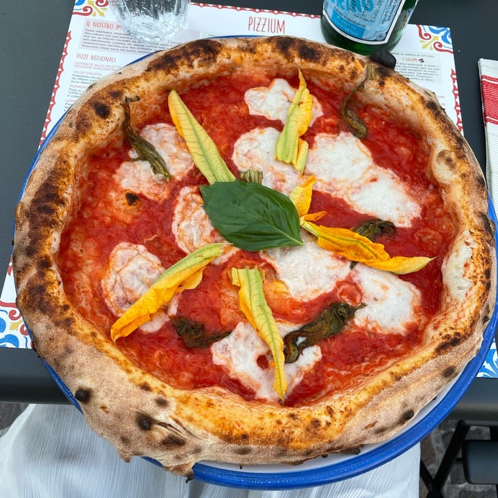photo of PIZZIUM - Treviso margherita vegana shared by @herbivorelucia on  08 Aug 2025 - review