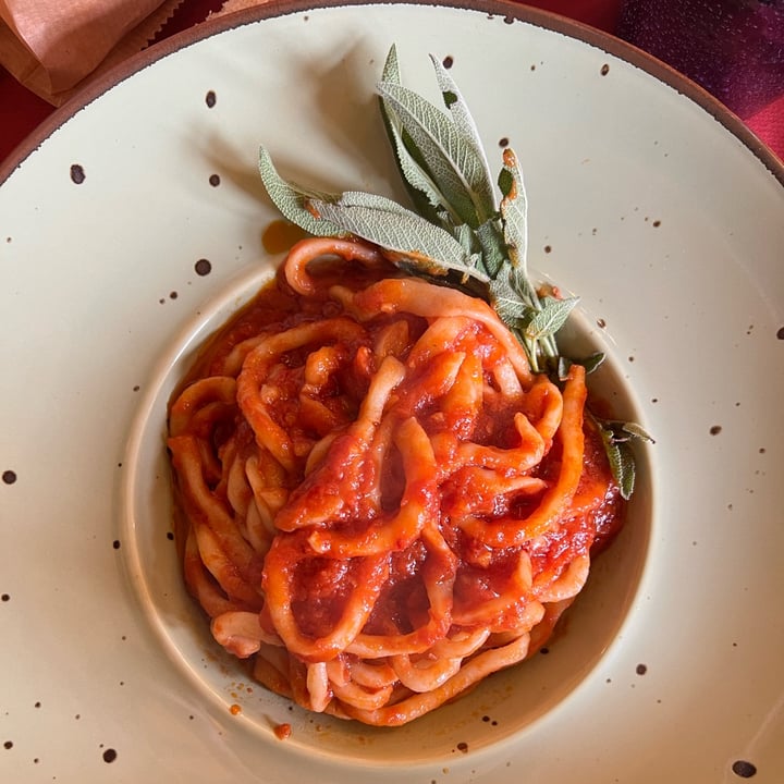photo of Trattoria La Chiocciola pici all’aglione shared by @ariannamandorino on  30 Mar 2024 - review