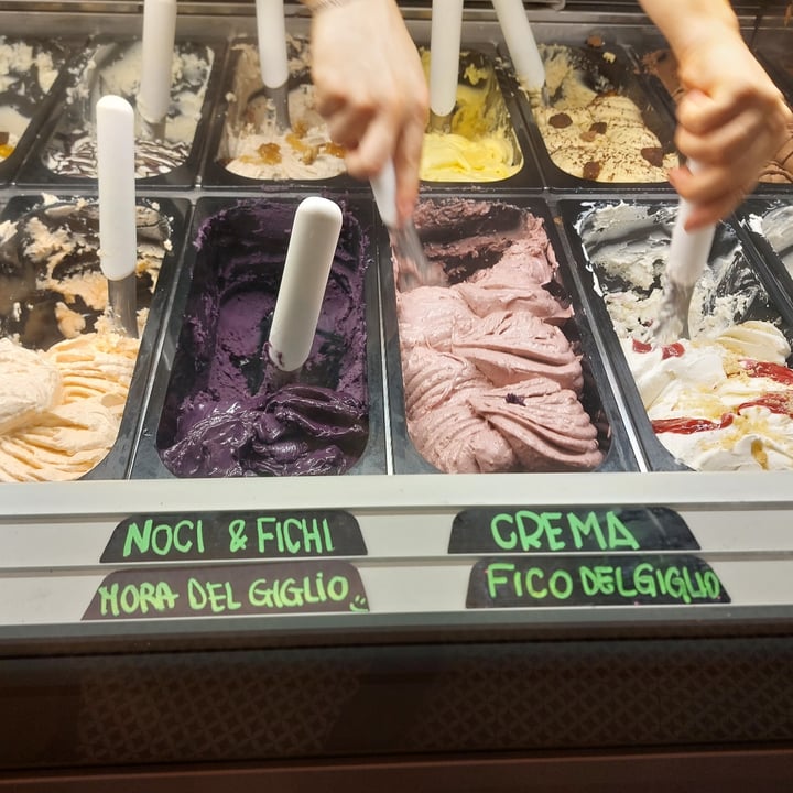 photo of Bar Solari Coppetta 2 gusti mora del Giglio e fico del Giglio shared by @cloudyaquilegia on  17 Aug 2025 - review