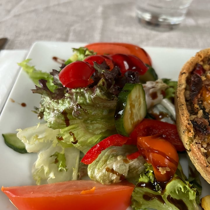 photo of The Stepping Stones Vegan Mediterranean Peppers, Sundried Tomato, courgette and Pumpkin seed Tart, served with dressed salad and skin on Fries shared by @gingerbreadrhea on  04 May 2024 - review