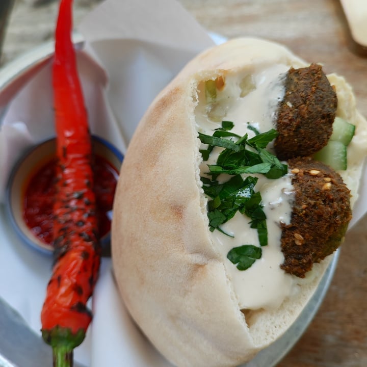 photo of Hummus Chiang Mai Falafel Sandwich shared by @littleredmushroom on  20 Aug 2023 - review