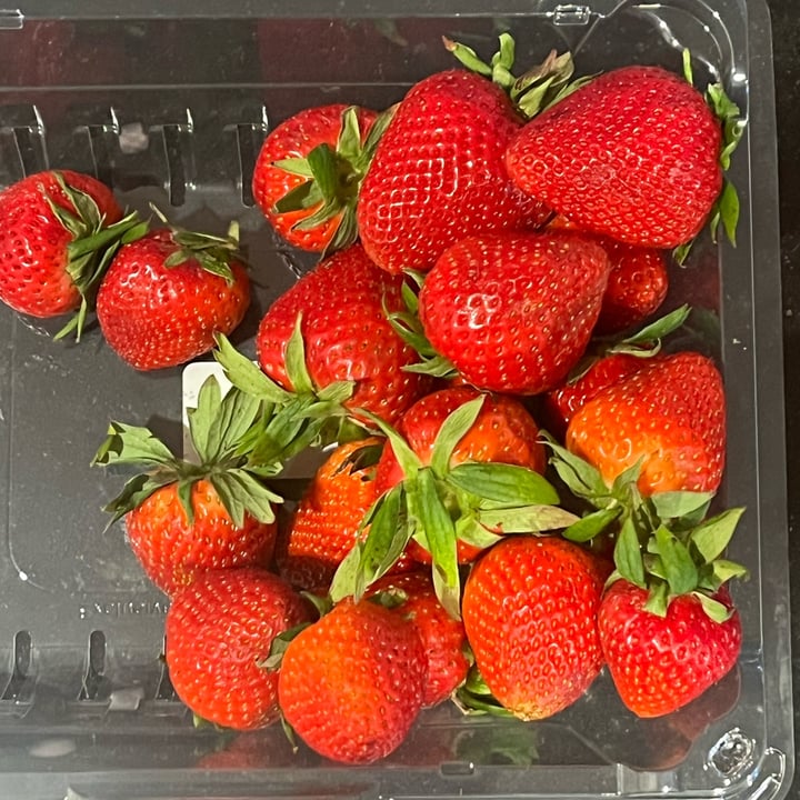 photo of Driscoll’s Strawberries shared by @petramodirari on  16 Apr 2024 - review