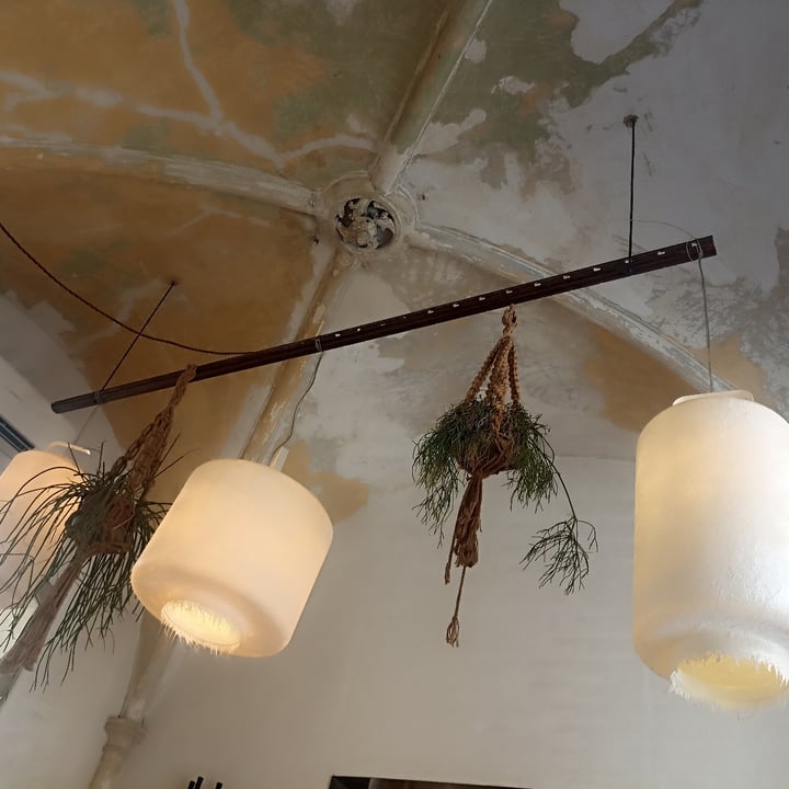 photo of QCorner_Faenza Insalatona vegana con hummus shared by @ghocri on  22 Jun 2025 - review