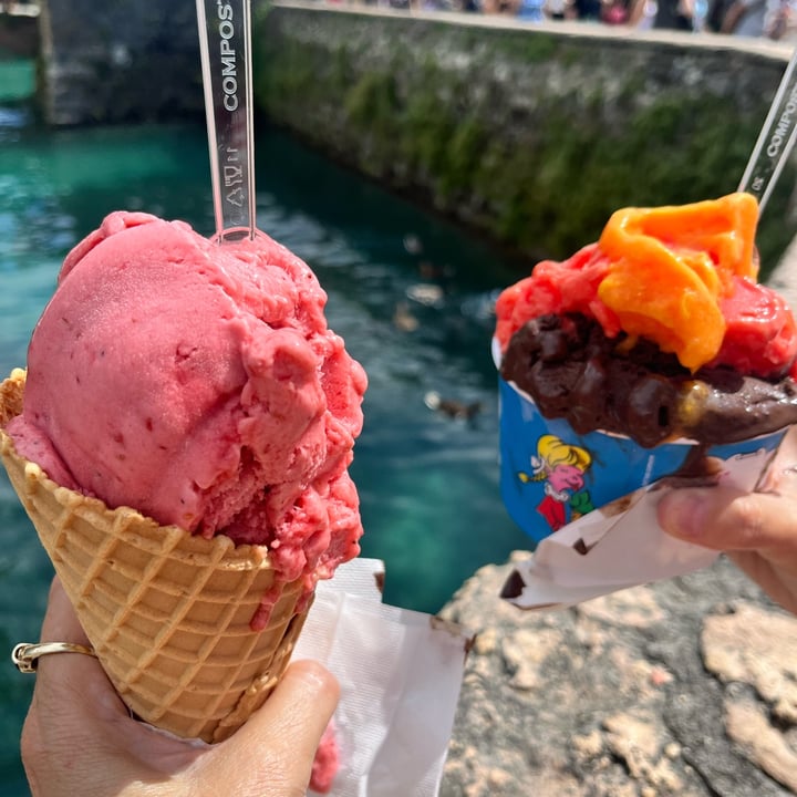 photo of Gelateria Artigianale dal 1988. Famiglia Peschiera. Chocolate Ice Cream and Sorbets shared by @madeline39 on  10 Jul 2024 - review