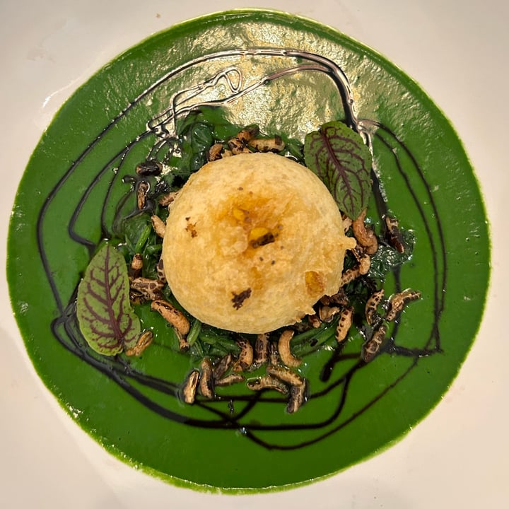photo of Sementis Tuorlo vegetale fondente fritto su riso selvaggio sofrato, spinaci al vapore, crema di spinaci, aceto balsamico, acetosella. shared by @ilariaqualcosa on  31 Mar 2024 - review