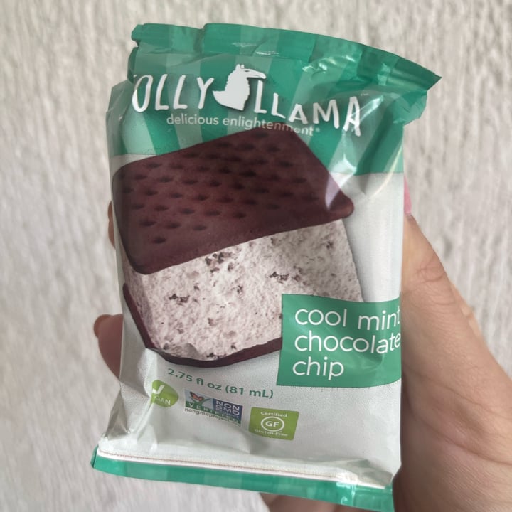 photo of Jolly Llama Cool Mint Chip DF GF Sandwiches shared by @its-dafne-vitch on  15 May 2024 - review