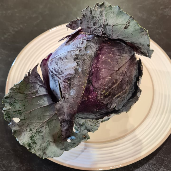 photo of The Harvest (pop-up stand) Red Cabbage shared by @veronicagroen on  14 Apr 2024 - review