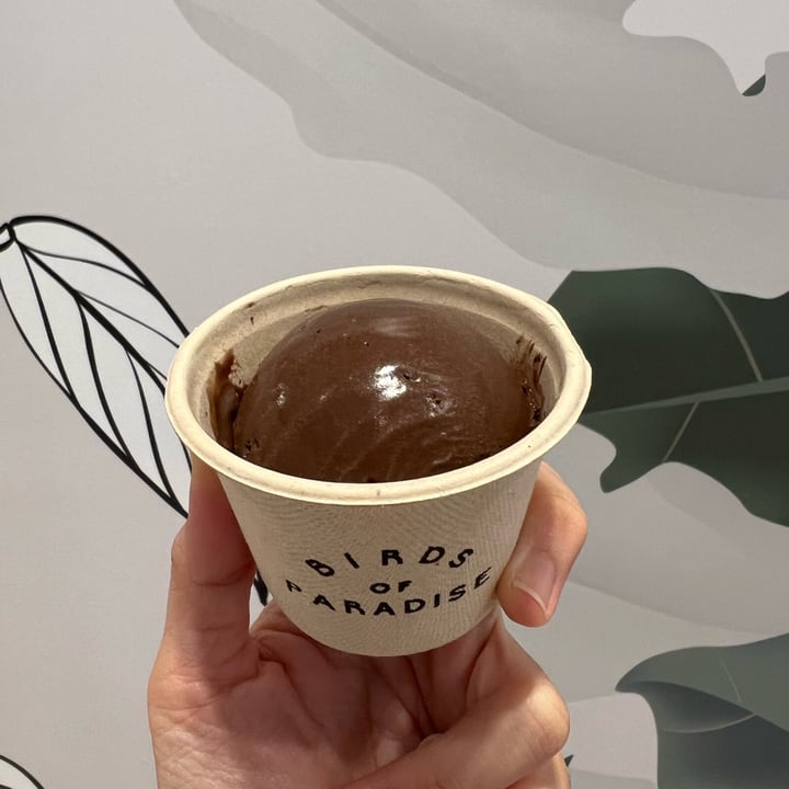 photo of Birds of Paradise Gelato Boutique Jewel Changi Airport Dark Chocolate Sorbet shared by @erialc on  30 Mar 2024 - review