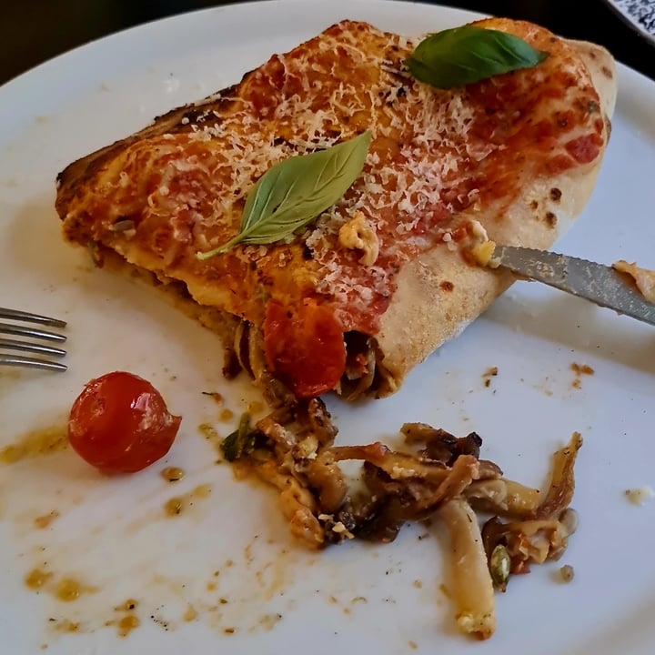 photo of Plant A Pizza Spring Calzone shared by @gabrielaadina on  17 Sep 2023 - review