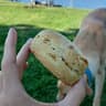 Craft Vegan Nordelta Panaderia Vegana