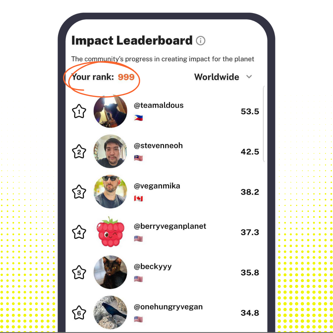 Impact Leaderboard