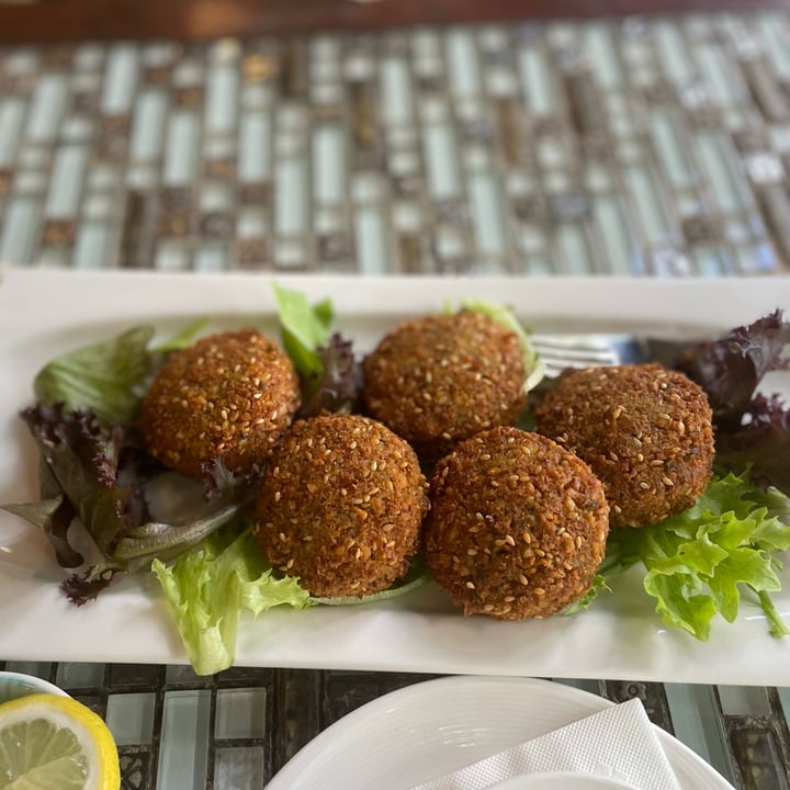 photo of Shabestan Falafel shared by @paloma on  17 Jan 2024 - review