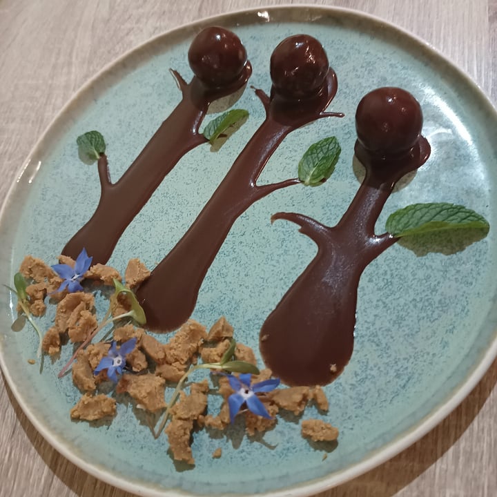 photo of Govinda Restaurant Bolitas Energéticas De Quinoa Y Cacao shared by @gabrielmadridriveros on  23 Aug 2024 - review