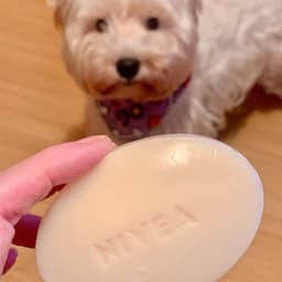 Nivea