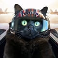 @icon86 profile image