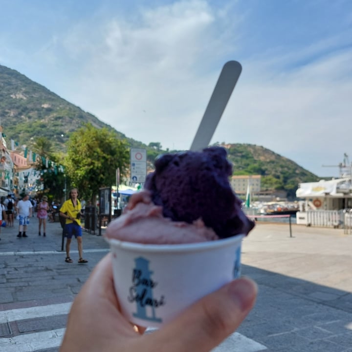 photo of Bar Solari Coppetta 2 gusti mora del Giglio e fico del Giglio shared by @cloudyaquilegia on  17 Aug 2025 - review