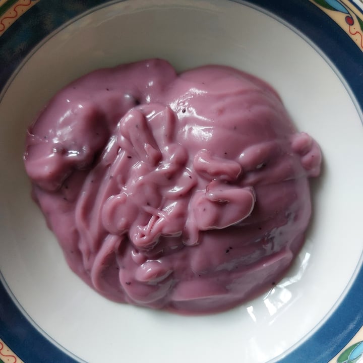 photo of beleaf Heidelbeere Yogurt shared by @cloudyaquilegia on  03 Sep 2023 - review
