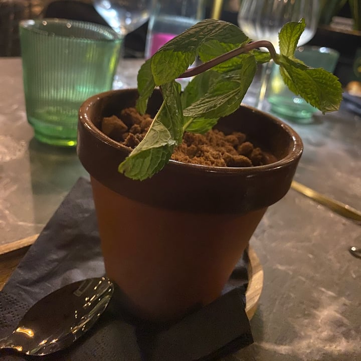 photo of Plant Bistrot Piantamisù shared by @perlemammemucche on  16 May 2024 - review