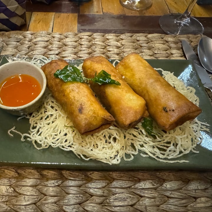 photo of New Leaf Eatery Spring Rolls shared by @malte242 on  24 Dec 2023 - review