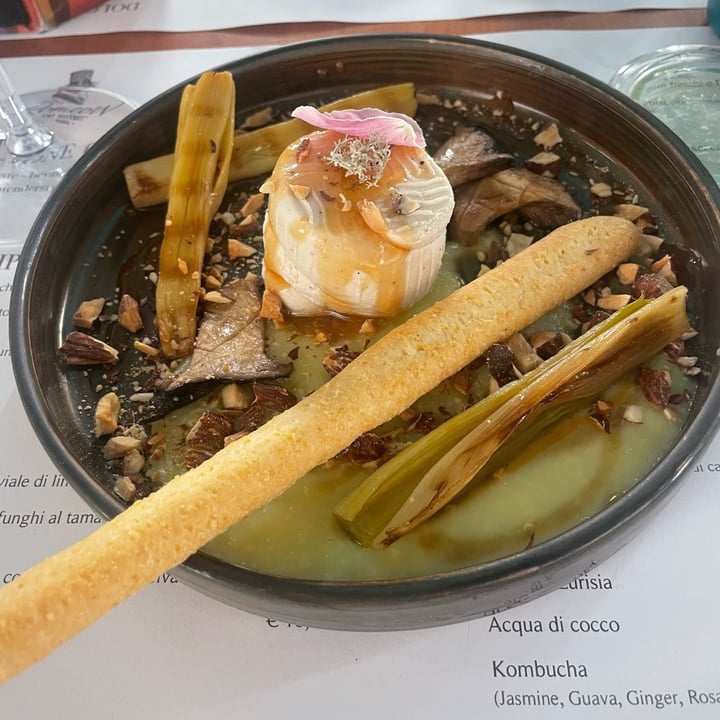 photo of Romeow Cat Bistrot ricotta di mandorle con fungo cardoncello, porto alla brace, lichene e mielata plant based shared by @babachito on  19 Nov 2023 - review