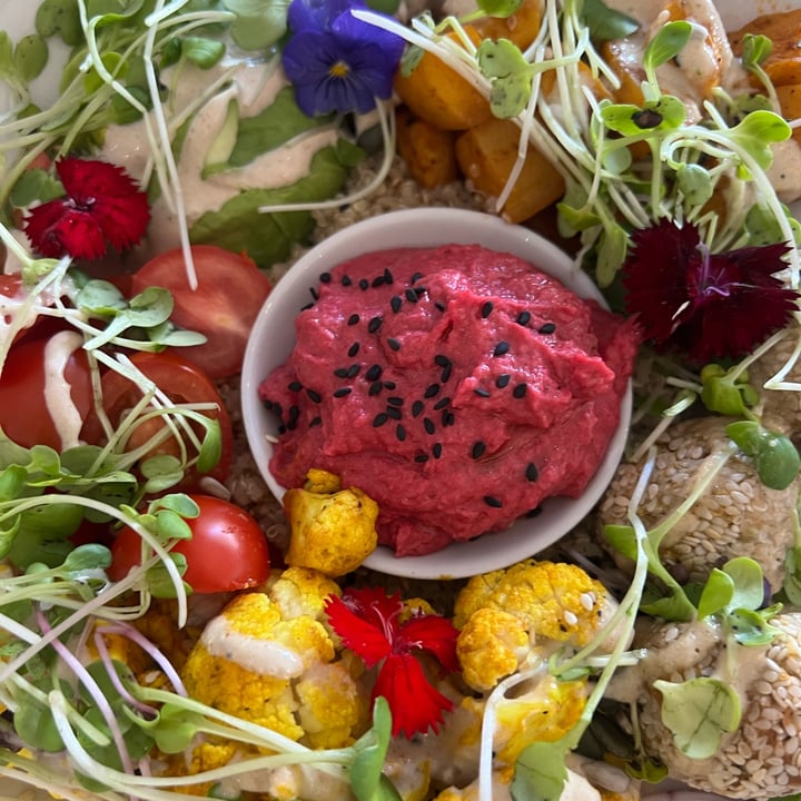 photo of Wildsprout Buddha Bowl shared by @kimsteyn on  19 Jan 2025 - review