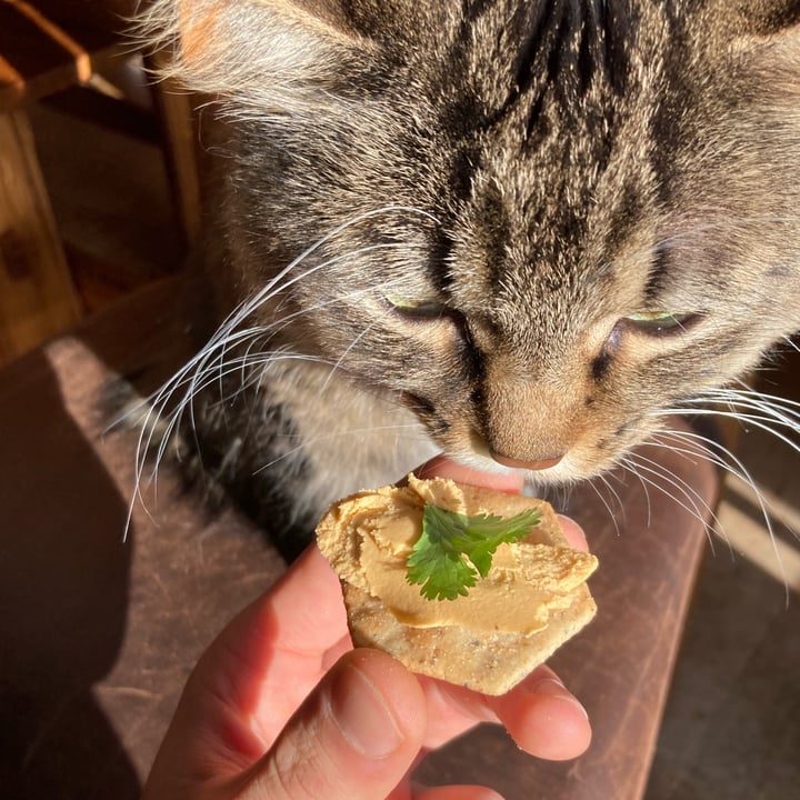 photo of Miyoko's Creamery Roadhouse Cheddar Spread shared by @lansterm on  16 Jan 2024 - review