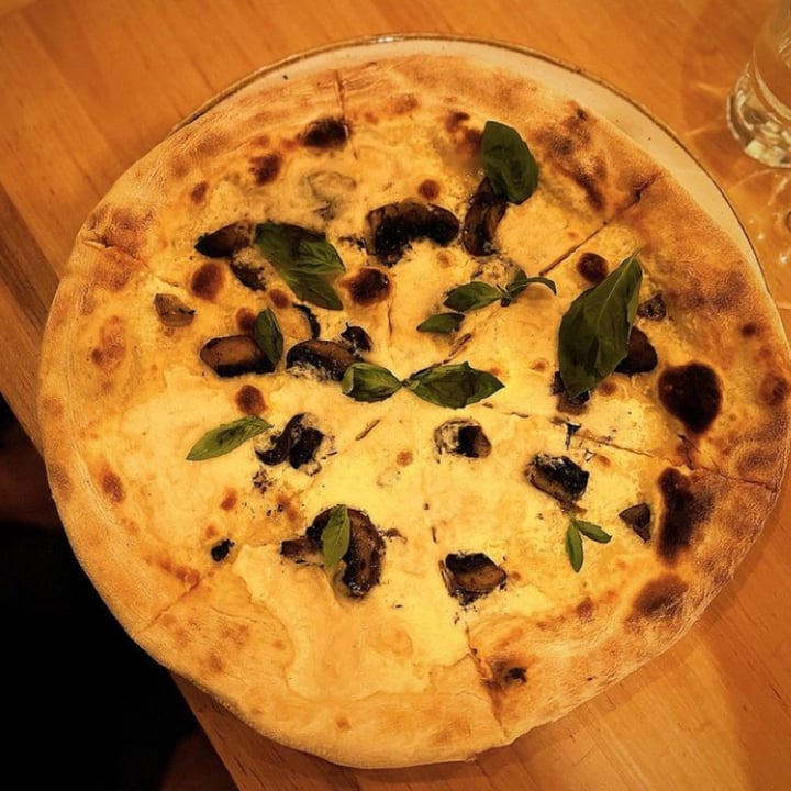 photo of Chutnej - Vegan Bistro Pizza Funghi shared by @david- on  23 Mar 2024 - review