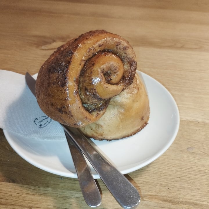 photo of Delish Vegan Doughnuts Cinnamon roll shared by @thechillvegan on  27 Jan 2024 - review