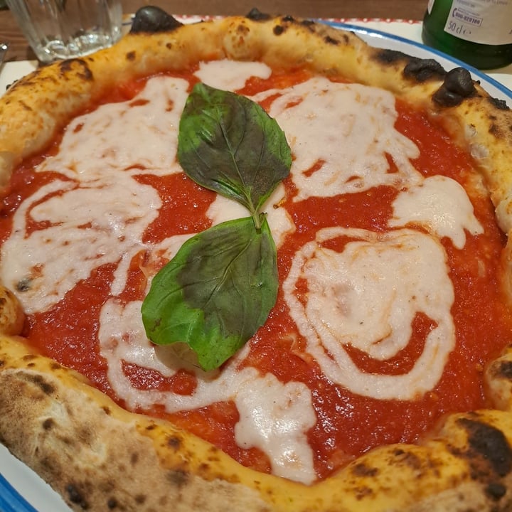 photo of Pizzium - Pavia Margherita vegana shared by @alechampe on  29 Jan 2024 - review