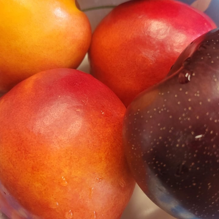 photo of 365 Whole Foods Market organic nectarines and plums shared by @sensiblevegan on  13 Jul 2025 - review