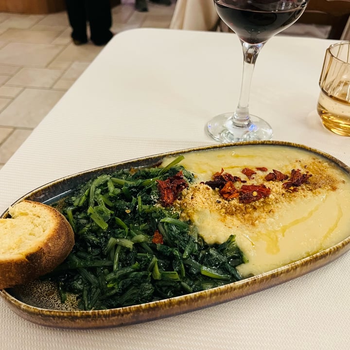 photo of Trattoria Lucana Cicoria e purea di fave shared by @miba on  09 Oct 2025 - review