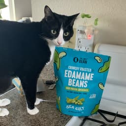 The Only Bean
