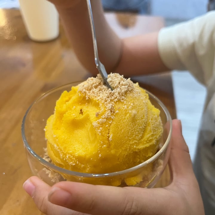 photo of Lucky Cat Vegan Mango Sorbet shared by @soy-orbison on  27 Apr 2024 - review