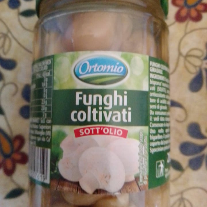 photo of Orto mio Funghi Coltivati shared by @robertaboschi on  14 May 2024 - review