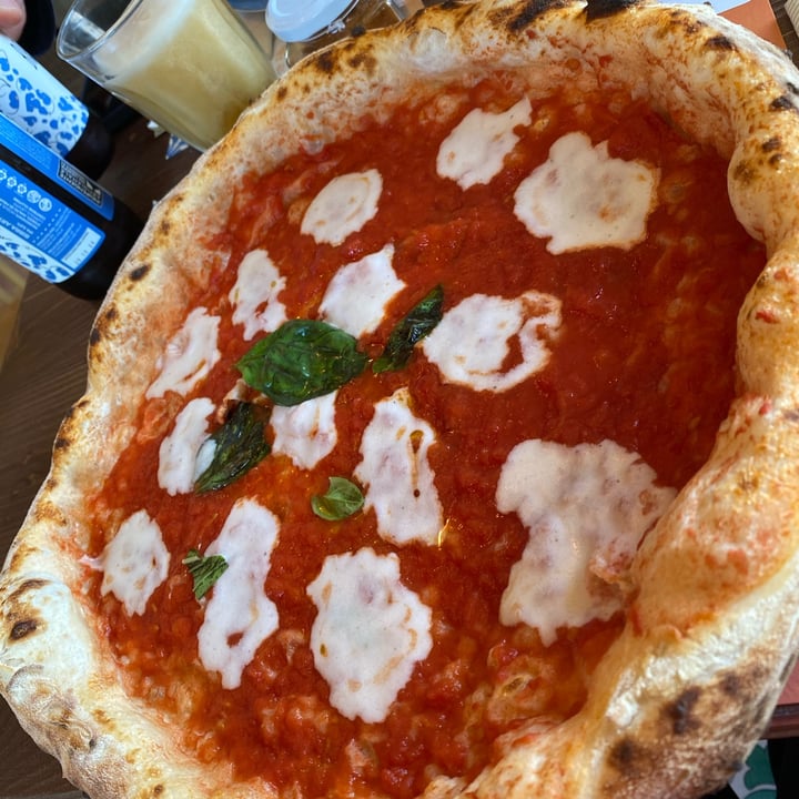 photo of Pizzium - Rimini margherita vegana shared by @riminivegan on  01 May 2024 - review
