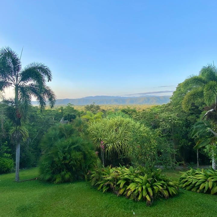 photo of Daintree Manor Bed & Breakfast Breakfast shared by @eviex on  09 Jan 2024 - review