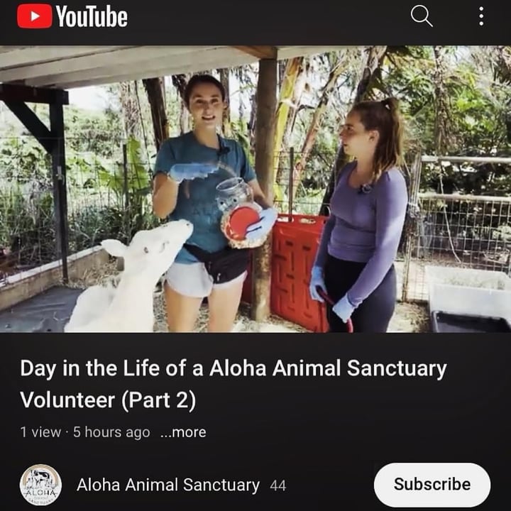 photo shared by @alohaanimalsanctuary on  06 May 2024 - post